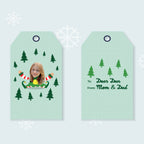 Miss Elfie Selfie Gift Tags