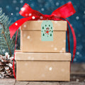 Red Elfie Selfie Gift Tags